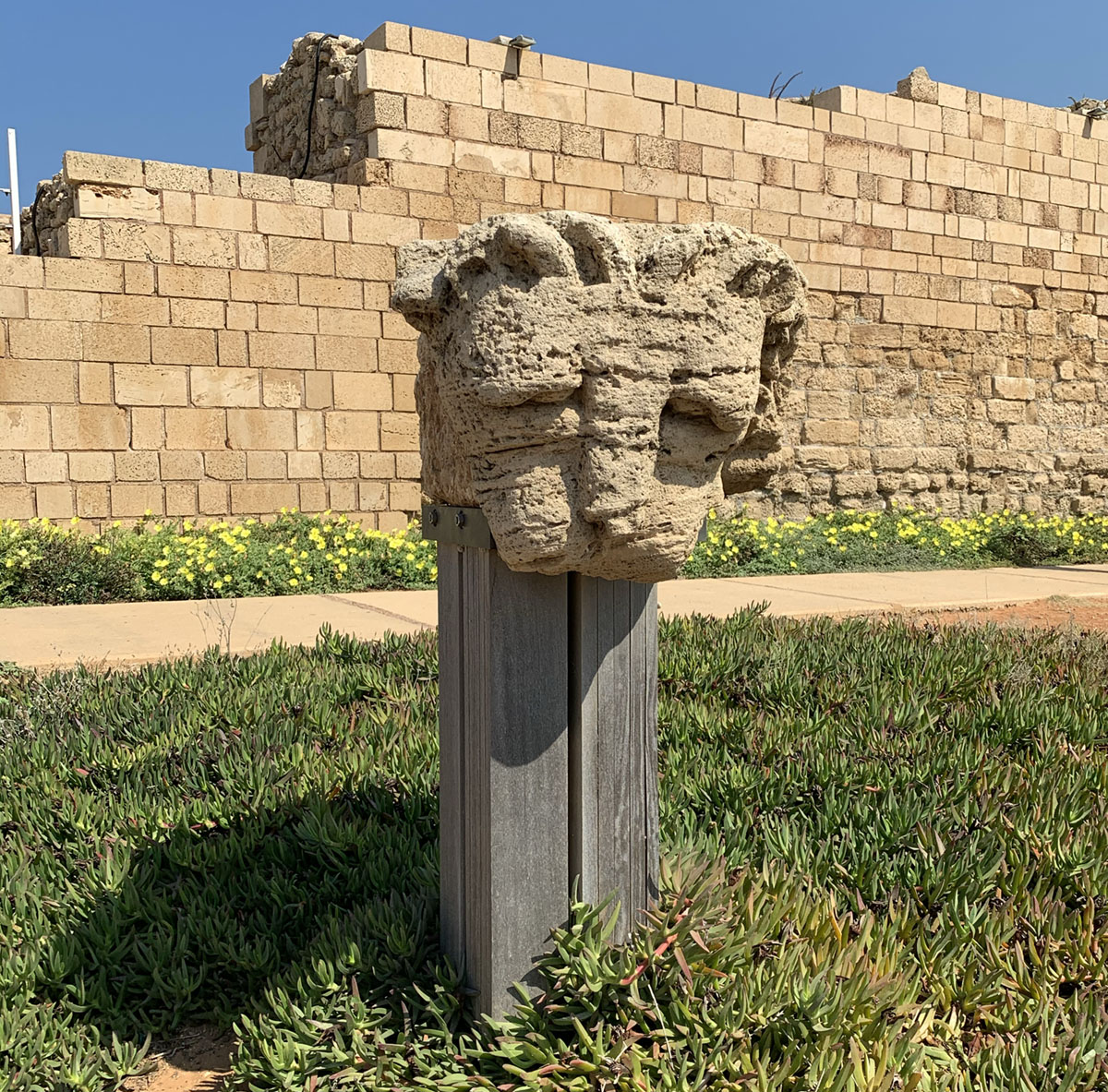 Jan. 12 Gathering: Metanoia