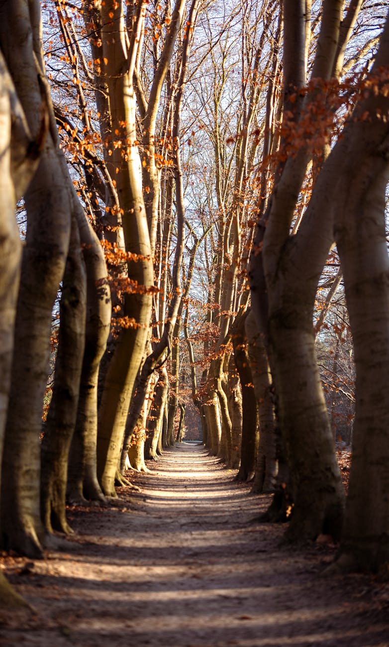 Nov. 2 Gathering: Winter Is Coming