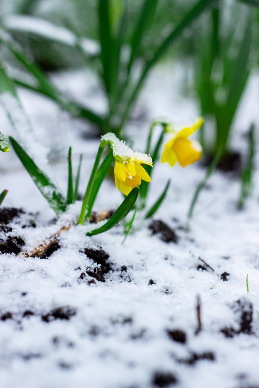 March 29 Gathering: Easter as the Universal Pattern of Resistance